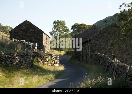 Country Lane im Howe Grain Valley, Lake District, Großbritannien Stockfoto