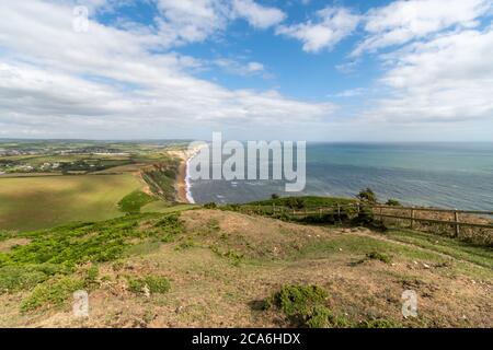 Blick vom Gipfel des Thorncombe Beacon an der Jurassic Coast in Dorset Stockfoto