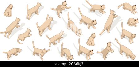 Isometrisches Posing-Set der Katze. 3d Hauskatzen Vektor Illustration Stock Vektor