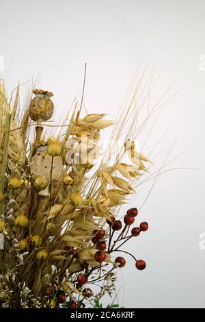 Bouquet von geernteten trockenen Früchten, eine Tradition für das Erntefest in europäischen Ländern Stockfoto