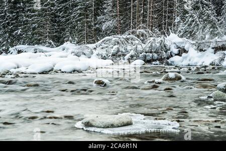 Kleiner Bach im Winter, schneebedeckte Bäume und Uferhintergrund, Eis auf Felsen am Fluss Stockfoto