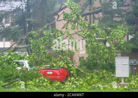 Doylestown, Usa. August 2020. Ein Baum ruht auf einem Auto in einem Wohnkomplex, nachdem die Überreste des tropischen Sturms Isaias durch die Region kamen und einen Pfad der Zerstörung hinterließen Dienstag, 04. August 2020 in der Lower State Street in Doylestown, Pennsylvania.( Credit: William Thomas Cain/Alamy Live News Stockfoto