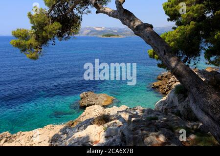 Panoramablick über die Bucht von Cavtat (Gespanschaft Dubrovnik-Neretva), Kroatien Stockfoto