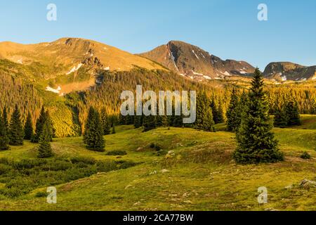 Das goldene Licht des Sonnenuntergangs beleuchtet schneebedeckte Granitgipfel über einer mit Fichten und Tannen übersäten alpinen Wiese Stockfoto