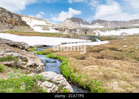 Ein von Wildblumen umsäumter Bach auf einer alpinen Wiese unter schneebedeckten Granitfelsen und Gipfeln im Porphyry Basin der San Mountains in Colorado Stockfoto