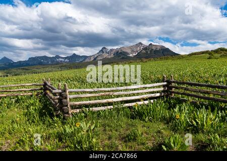 Feld mit gelben Sonnenblumen und ein Zick-Zack-rustikalen Holzzaun auf einer Ranch unterhalb der schneebedeckten Colorado Rocky Mountains Stockfoto