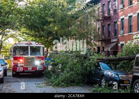 FDNY Feuerwehrleute von Engine 239/Ladder 122 kommen an, um umgestürzte Bäume in der 7th Street in der Park Slope Nachbarschaft von Brooklyn zu löschen, nachdem der tropische Sturm Isaias New York City am 4. August 2020 getroffen hat. (Foto von Gabriele Holtermann/Sipa USA) Quelle: SIPA USA/Alamy Live News Stockfoto