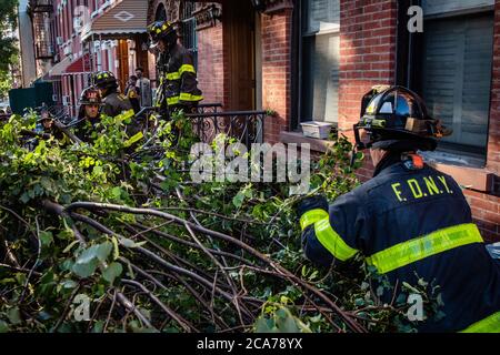 FDNY Firefighters of Engine 239/Ladder 122 räumen einen gefallenen Baum vor einem Haus in der 7th Street im Park Slope-Viertel von Brooklyn, nachdem der tropische Sturm Isaias New York City am 4. August 2020 getroffen hat. (Foto von Gabriele Holtermann/Sipa USA) Quelle: SIPA USA/Alamy Live News Stockfoto