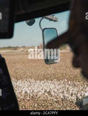 Ein Baumwollernter bei der Arbeit auf einer Baumwollfarm im Central Valley, Kalifornien Stockfoto