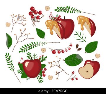 Apple-Set. Ganzer roter Apfel, Apfelscheibe, Honig, Blätter, Zweige und Blumen. Schrott für das jüdische neue Jahr. ERNTE. TAG VON THANKSGIVING Stock Vektor
