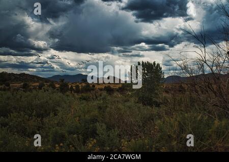 Einsame Busche auf kargem Flugzeug in Canon City Colorado. Sturmwolken Rollen in die düstere Szene ein. Colorado Reisen und Urlaub Stockfoto