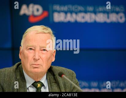 Potsdam, Deutschland. August 2020. Alexander Gauland, Ehrenvorsitzender der AfD, bei einer Pressekonferenz im Anschluss an die Sitzung der Brandenburger AfD-Fraktion. Quelle: Soeren Stache/dpa-Zentralbild/dpa/Alamy Live News Stockfoto