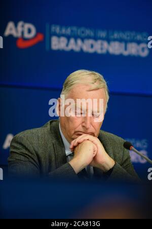 Potsdam, Deutschland. August 2020. Alexander Gauland, Ehrenvorsitzender der AfD, bei einer Pressekonferenz nach dem Treffen der Brandenburgischen AfD-Fraktion. Quelle: Soeren Stache/dpa-Zentralbild/dpa/Alamy Live News Stockfoto