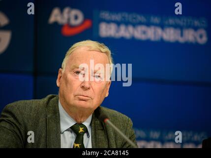 Potsdam, Deutschland. August 2020. Alexander Gauland, Ehrenvorsitzender der AfD, bei einer Pressekonferenz im Anschluss an die Sitzung der Brandenburger AfD-Fraktion. Quelle: Soeren Stache/dpa-Zentralbild/dpa/Alamy Live News Stockfoto