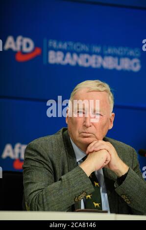 Potsdam, Deutschland. August 2020. Alexander Gauland, Ehrenvorsitzender der AfD, bei einer Pressekonferenz im Anschluss an die Sitzung der Brandenburger AfD-Fraktion. Quelle: Soeren Stache/dpa-Zentralbild/dpa/Alamy Live News Stockfoto