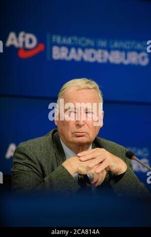 Potsdam, Deutschland. August 2020. Alexander Gauland, Ehrenvorsitzender der AfD, bei einer Pressekonferenz im Anschluss an die Sitzung der Brandenburger AfD-Fraktion. Quelle: Soeren Stache/dpa-Zentralbild/dpa/Alamy Live News Stockfoto