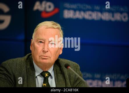 Potsdam, Deutschland. August 2020. Alexander Gauland, Ehrenvorsitzender der AfD, bei einer Pressekonferenz im Anschluss an die Sitzung der Brandenburger AfD-Fraktion. Quelle: Soeren Stache/dpa-Zentralbild/dpa/Alamy Live News Stockfoto