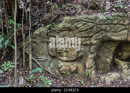 Sehr alte Steinschnitzereien in der Nähe der Ruinen der Maya-Stadt Muyil oder Chunyaxche im UNESCO-Weltbiosphärenreservat Sian Ka'an, Quintana Roo, Mexiko Stockfoto