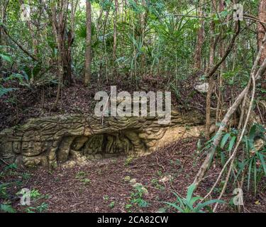 Sehr alte Steinschnitzereien in der Nähe der Ruinen der Maya-Stadt Muyil oder Chunyaxche im UNESCO-Weltbiosphärenreservat Sian Ka'an, Quintana Roo, Mexiko Stockfoto