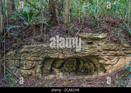 Sehr alte Steinschnitzereien in der Nähe der Ruinen der Maya-Stadt Muyil oder Chunyaxche im UNESCO-Weltbiosphärenreservat Sian Ka'an in Quintana Roo, Mex. Stockfoto