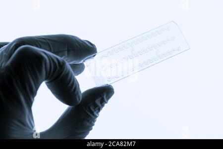 Organ auf Chip OOC und Labor auf Chip LOC - microfluidic Gerät Chip, der biologische Organe und Laborgerät simuliert. Prototyp des Design Lab-on-a Stockfoto