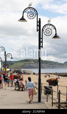 Lyme Regis, Dorset, UK Sea Front mit Ammonit Straßenlaterne, Menschen zu Fuß, sitzen am Strand und Klippen der Jurassic Coast im Hintergrund. Stockfoto