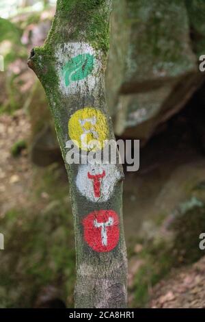 Wanderzeichen für verschiedene Wanderwege in der Teufelsschlucht, bei Irrel, Naturpark Südeifel, Rheinland-Pflanz, Deutschland, Stockfoto