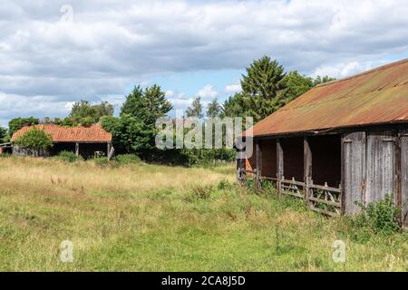 Zwei halbveröde Scheunen in einem Feld am Rande des Dorfes Milton Malsor, Northamptonshire, Großbritannien Stockfoto