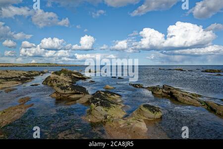 Blick über die Felsen am East Haven Beach bei Ebbe an einem sonnigen Aprilnachmittag, mit weißen Wolken am blauen Himmel. Stockfoto