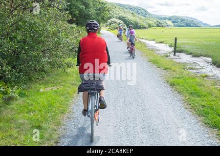 Radfahren, Fahrrad, Fahrrad, Fahrt, entlang, auf, landschaftlich, Mawddach, Mawddach Wanderwege, beliebt, Pfad, entlang, nicht genutzt, Schiene, Strecke, Eisenbahn, zwischen, Dolgellau, und, Barmouth.This, Fahrt, entlang, Fluss, und, Fluss, Mündung, ist, beliebt, mit, Radfahrer, und, Wanderer, Wanderer, und, umfasst, schattige, Welsh, Wald, und, offene, Wald, Europa, Gwdydd. Stockfoto