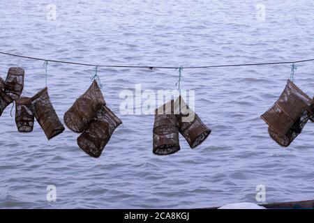 Bambusfischfalle mit schmalem Hals - traditionelles bangladeschisches Fischereiwerkzeug Stockfoto