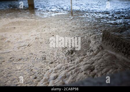 Konzentration von Golderz durch Rühren und Flotation in der Goldbergbau- und Verarbeitungsanlage. Flotationswerkstätte. Altynalmas Unternehmen. Stockfoto