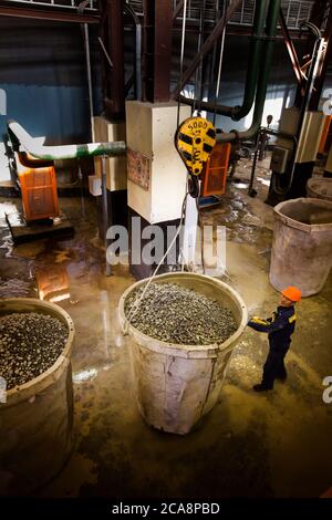 Akbakay/Kasachstan - April 23 2012: Fabrikarbeiter mit Eimer roher Mineralien aus Golderz. Werkstätte der Goldverarbeitungsanlage. Altynalmas comp Stockfoto