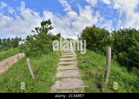 Natürliche Holztreppen durch Kies zwischen den Bäumen im heißen Sommer Süden ergänzt. Sommer. Stockfoto