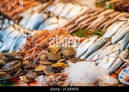 Verschiedene frische Fische und Meeresfrüchte liegen auf dem Eis, auf der Theke im Laden. Stockfoto