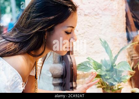Latina Frau schaut in ein Schaufenster, während sie durch die Stadt geht Stockfoto
