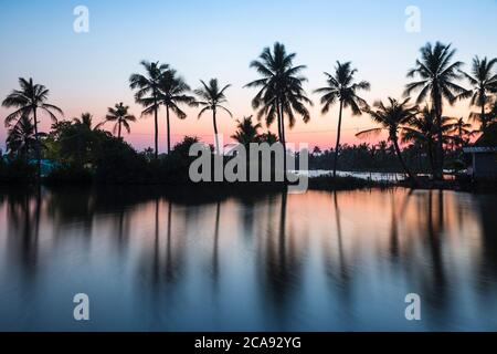 Palmen spiegeln sich in Backwaters, Munroe Island, Kollam, Kerala, Indien, Asien Stockfoto