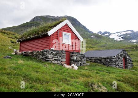 NORWEGISCHE LANDSCHAFTEN MIT WÄLDERN, BERGEN UND FJORDEN Stockfoto