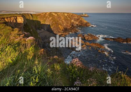 Die Klippen von Godrevy Point, mit Godrevey Island und Leuchtturm dahinter, an Cornwalls Atlantikküste, in der Nähe von Hayle, West Cornwall, England Stockfoto