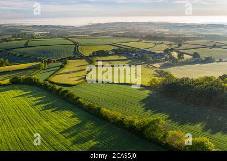 Grüne Landschaft rund um Livaton Farm, South Tawton, Devon, England, Großbritannien, Europa Stockfoto