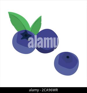 Frische Heidelbeeren mit Heidelbeerblättern isoliert auf weißem Hintergrund. Waldbeeren. Vektor Stock Vektor