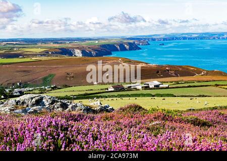 Blick auf die küste von cornwall von der Spitze des St agnes Beacon cornwall Stockfoto