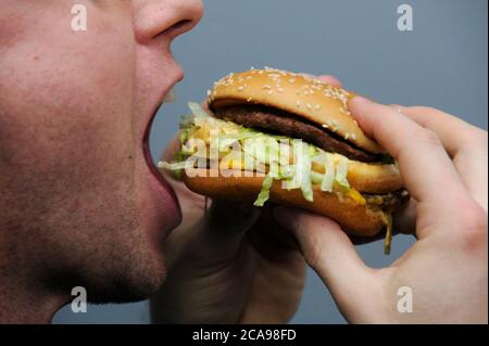 Ein Mann isst am 1. Januar 2009 Big Mac Hamburger von McDonald's in Prag, Tschechische Republik. (CTK Photo/Michal Kamaryt) Stockfoto
