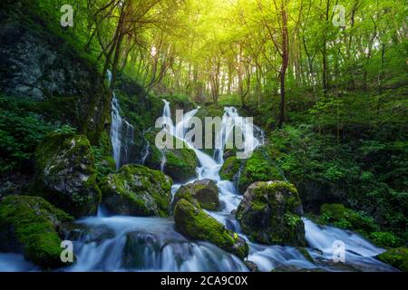 Schöne Wasserfall Kaskade in üppig grünen Wald. Stockfoto