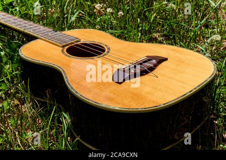 Akustikbariton Ukulele Gitarre, die in einem Grasfeld liegt Stockfoto