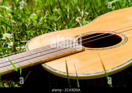 Akustikbariton Ukulele Gitarre, die in einem Grasfeld liegt Stockfoto