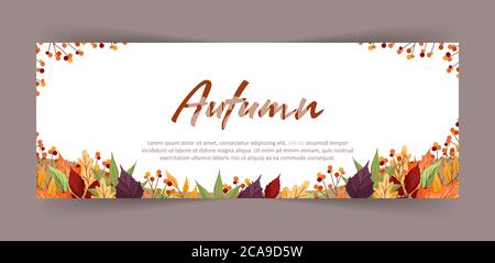Banner mit bunten Herbst-Ahorn, Eberesche, Erle und Espenblätter und Äste. Webdesign. Vektorgrafik im flachen Stil. Stock Vektor