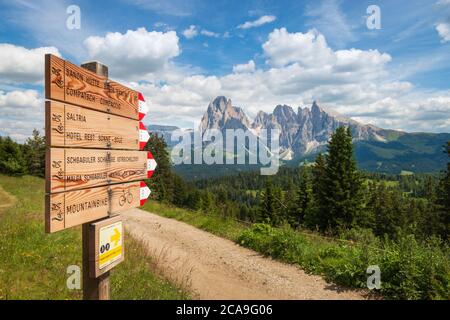 Wegweiser und Landschaft entlang Wanderweg auf der Seiser Alm - Seiser Alm mit Langkofel - Langkofel Berggruppe im Sommer Stockfoto