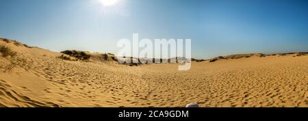 Panoramablick auf Oleschky Sands am blauen Himmel in der Cherson Region in der Ukraine, der größten Wüste Europas. Horizontale Aufnahme. Stockfoto