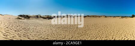 Panoramablick auf Oleschky Sands am blauen Himmel in der Cherson Region in der Ukraine, der größten Wüste Europas. Horizontale Aufnahme. Stockfoto